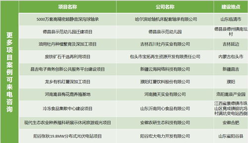 铜仁节能评估 专家团队领航，开发项目精益求精